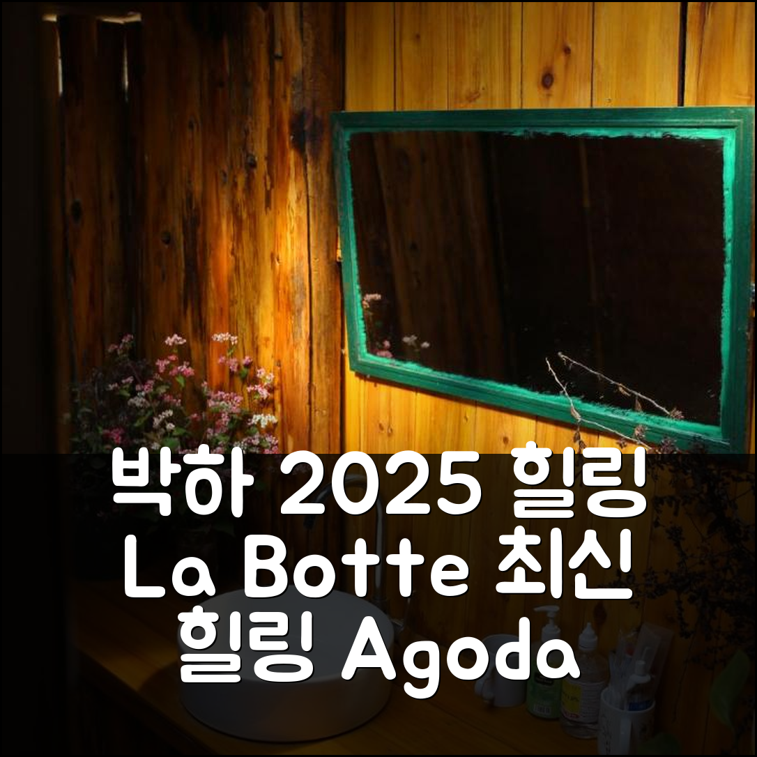 라 보떼 박하: 박하 2025 최신 힐링