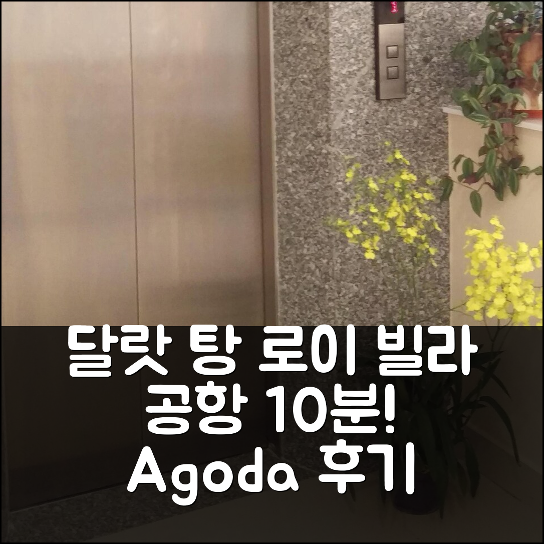 달랏 탕 로이 빌라, 공항 10분 거리 실제 숙박 후기