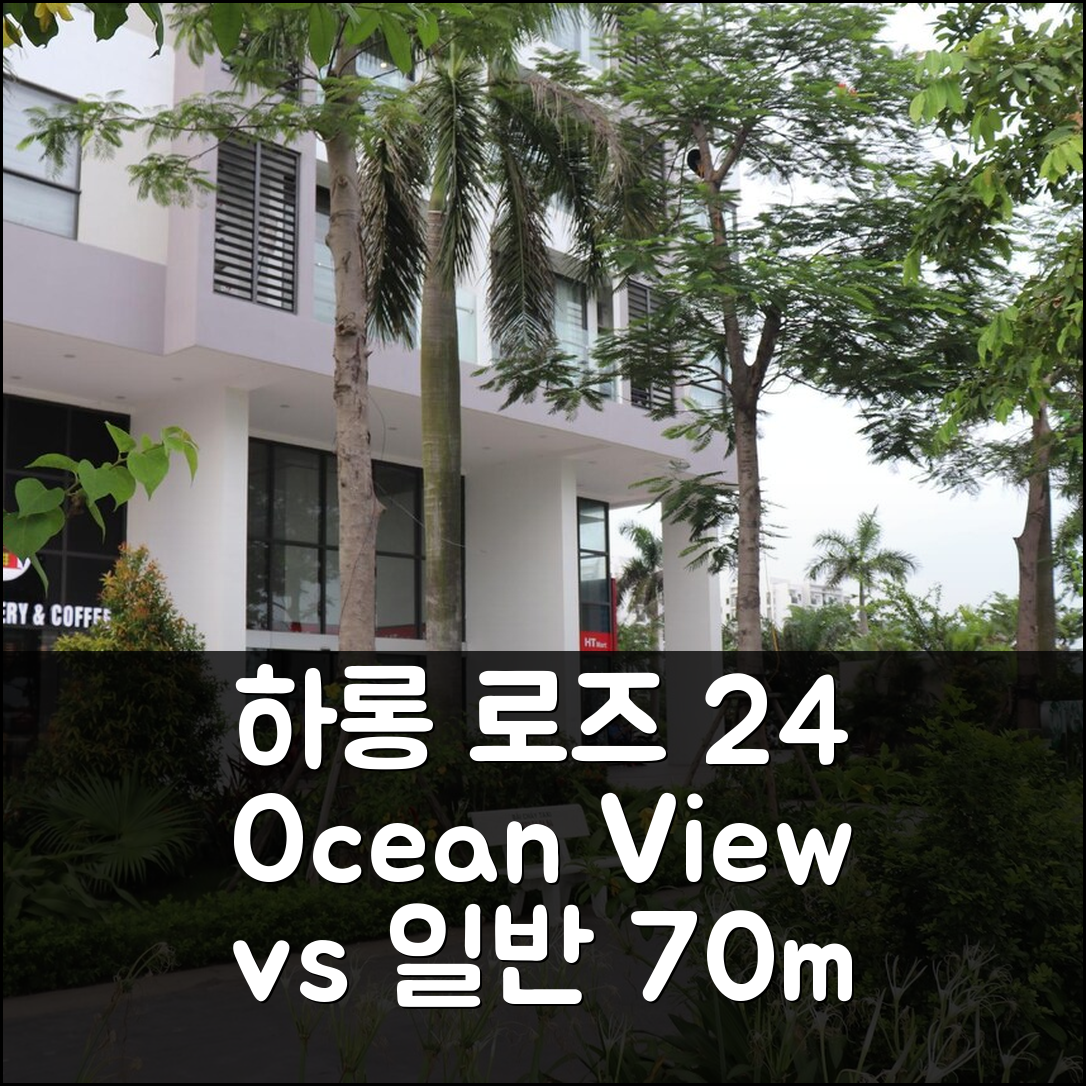 하롱 로즈 24 아파트, 70m² 2룸 2욕실 오션뷰 vs 일반 숙소 비교