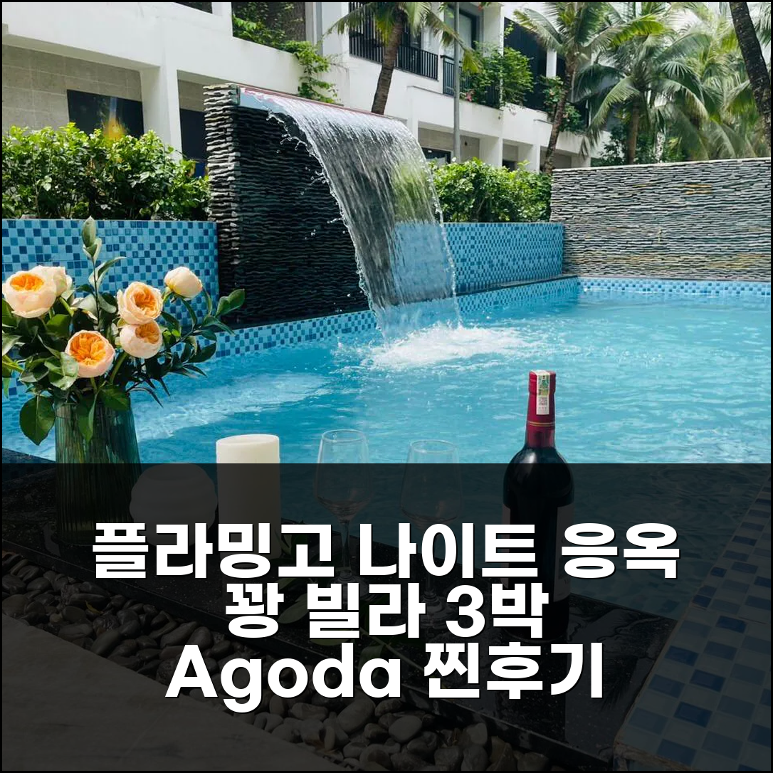 푹 옌 플라밍고 나이트 스트리트 응옥 꽝 빌라 3박 후기