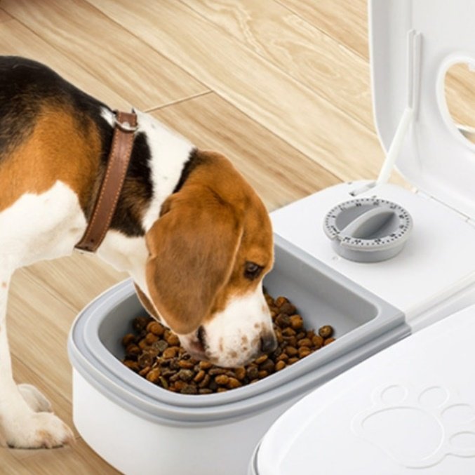 자율 배식 습식 사료 자동 급식기 고양이 습식 급식기 사료기 상세 이미지 1